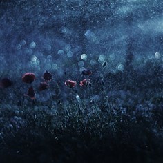 Inspiring Unity, Final Report of Pilot Evaluation, 2016-17