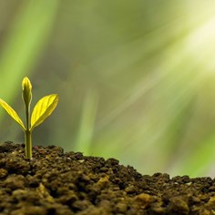 Growing in Faith, Living in Hope, Serving in Love