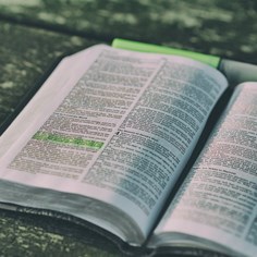The Bible Roadshow